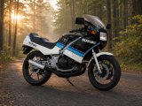 Suzuki RG 250 Gamma